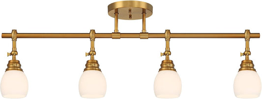 4 Light Ceiling Track Light