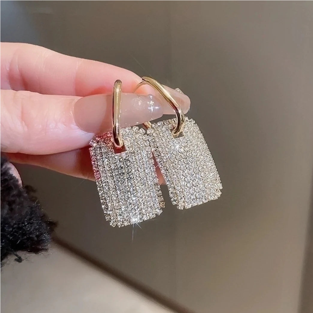 Tag You're It Earrings