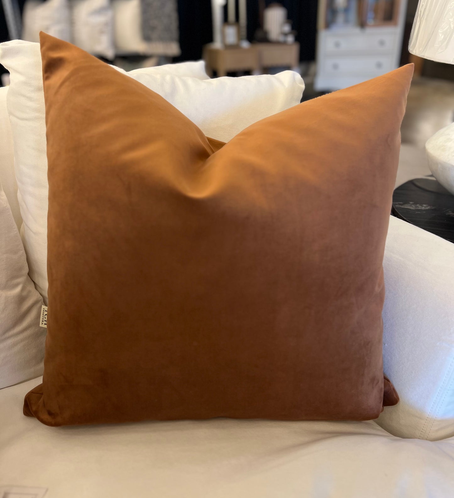 Amber Velvet Throw Pillow