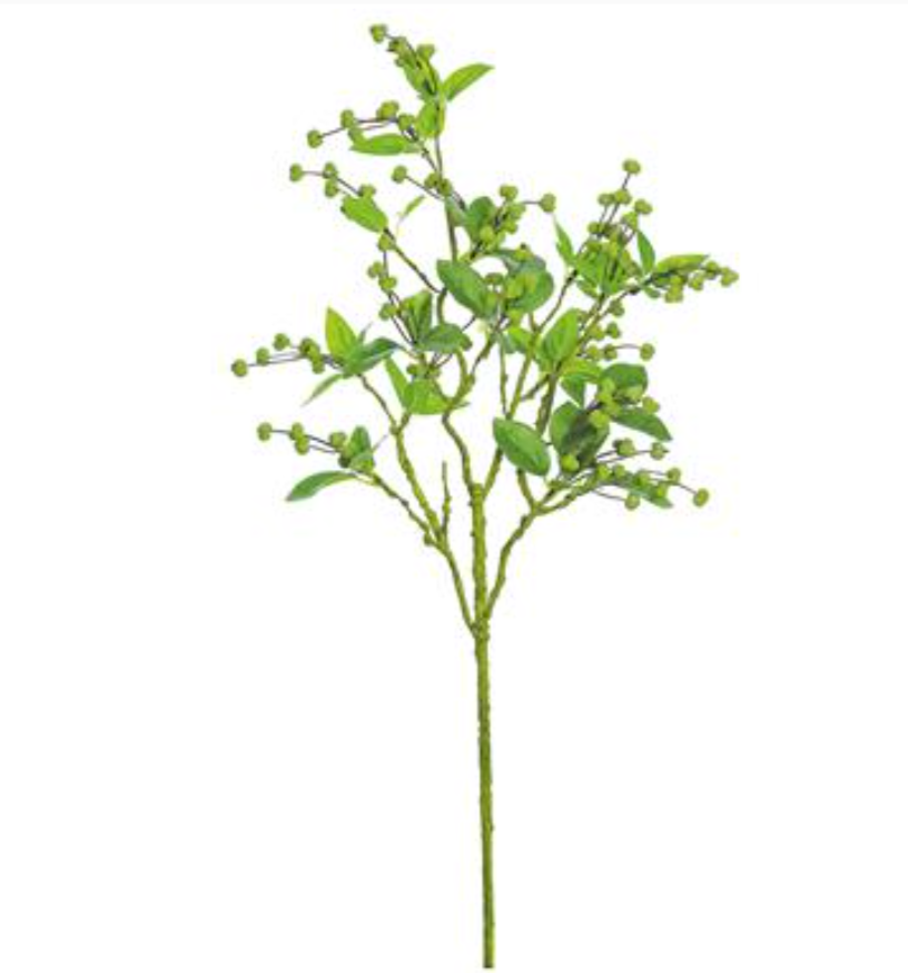 SPRING TALLOW BERRY SPRAY