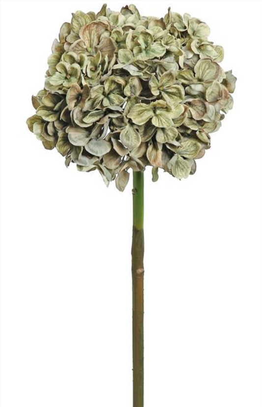 Blue Haze Harvest Hydrangea Spray