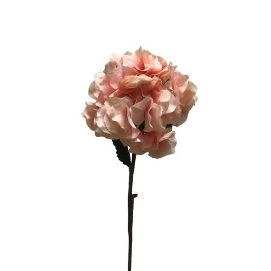 Giant Garden Hydrandea Stem - Peach  Pink 28"