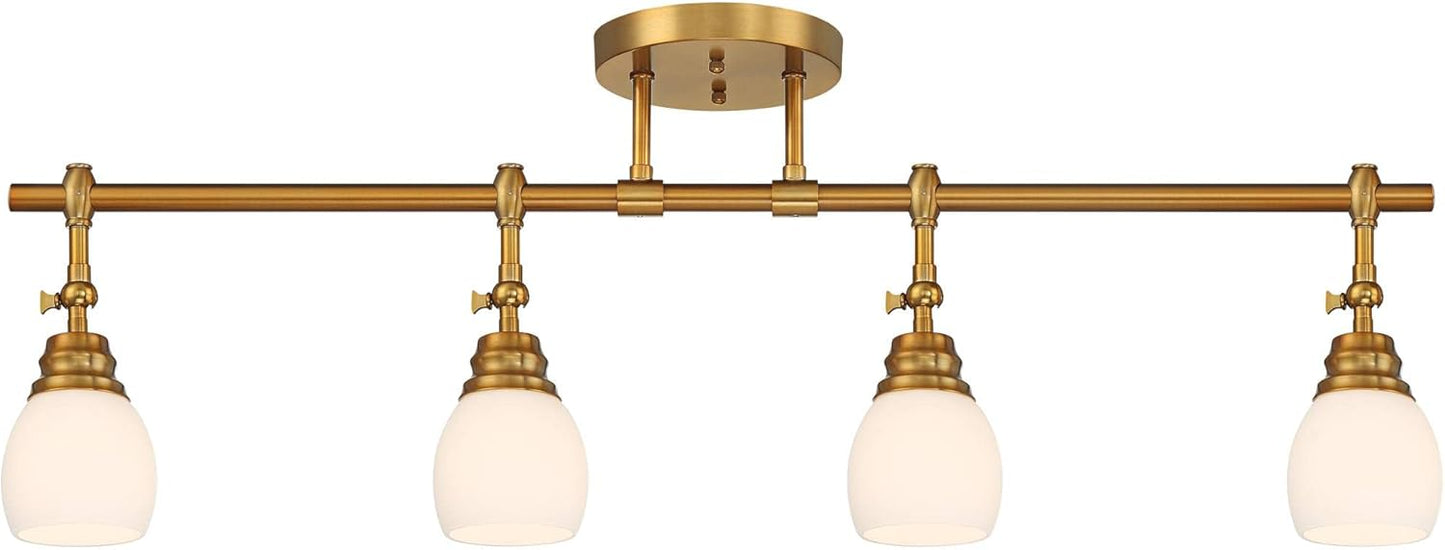 4 Light Ceiling Track Light