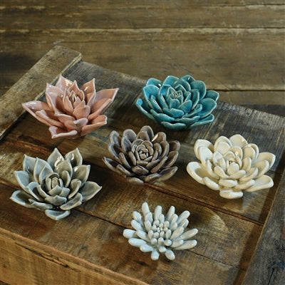 CERAMIC SUCCULENT