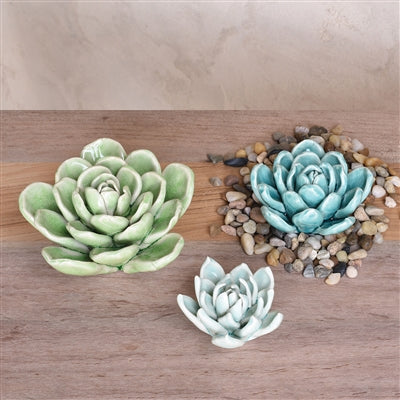 CERAMIC SUCCULENT