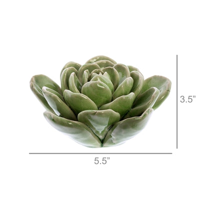 CERAMIC SUCCULENT