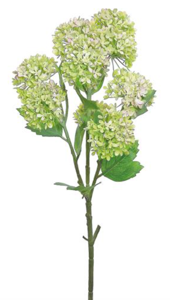 SNOWBALL SPRAY (with Pink)