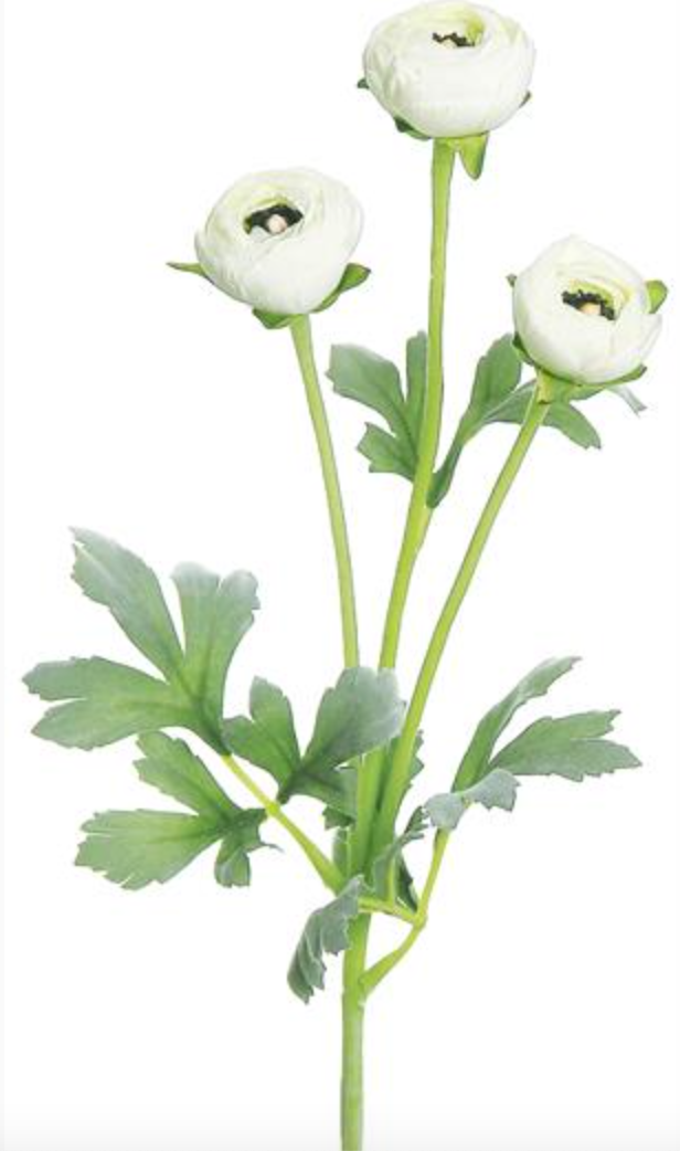 MINI RANUNCULUS – Sweet Home Design Company