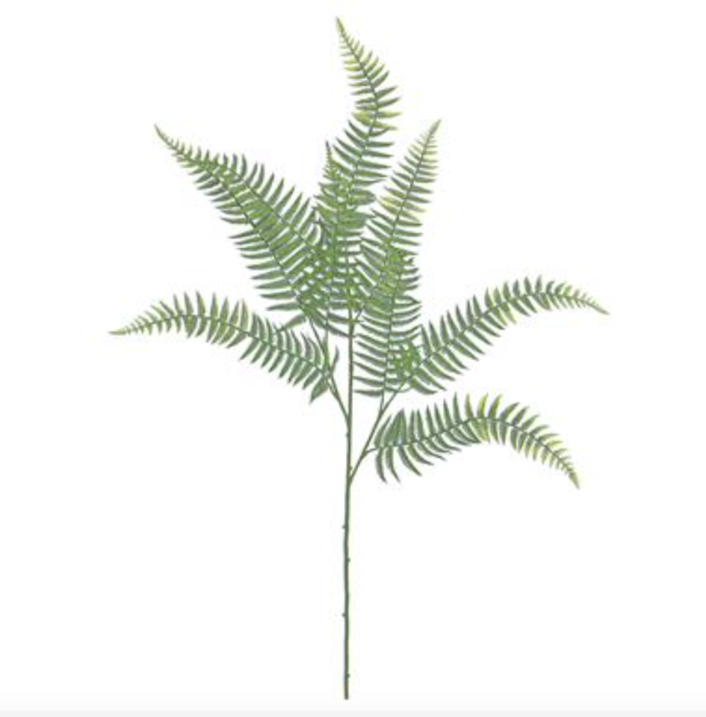 FERN SPRAY