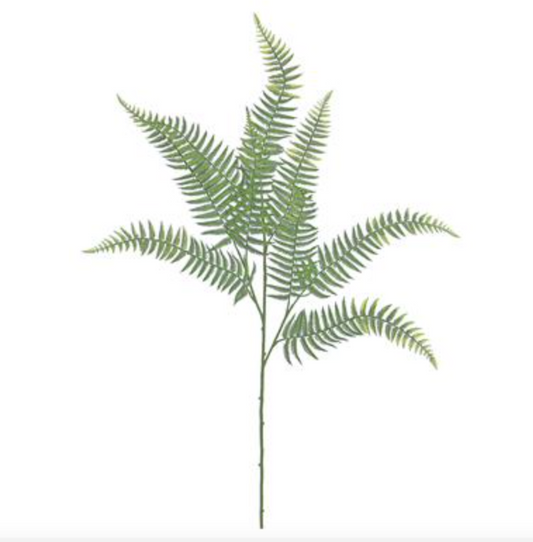 FERN SPRAY