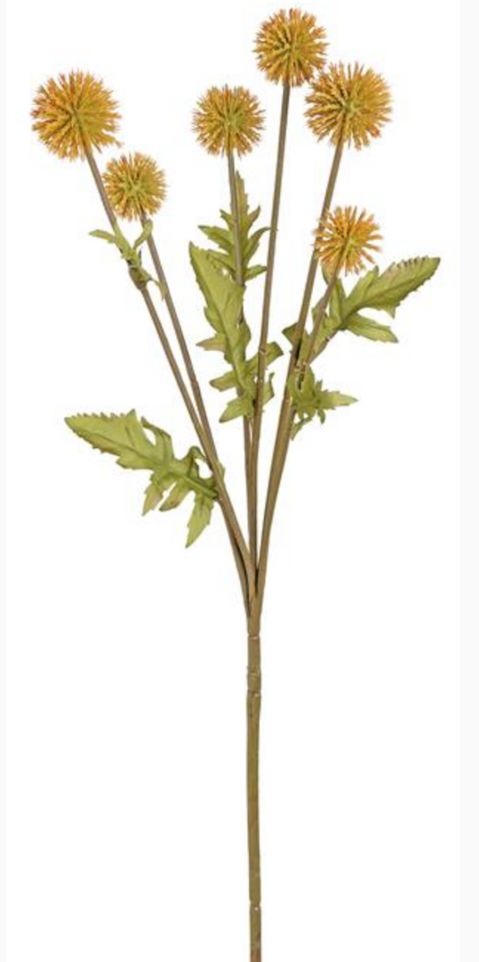 Gold Thistle Spray