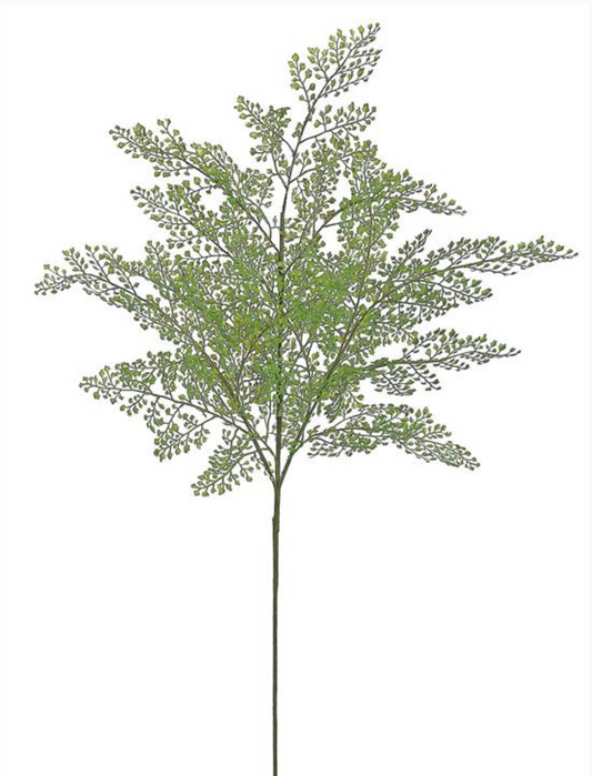 Maidenhair Fern Spray